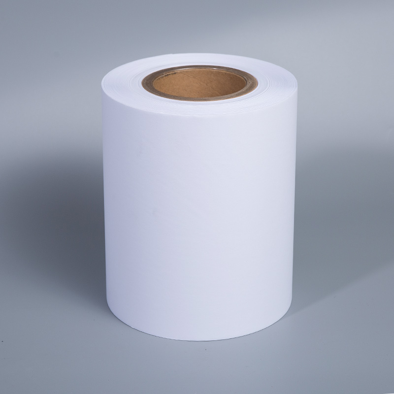 화이트 그리드 이형지